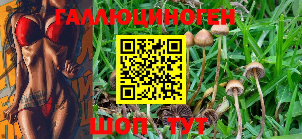 Псилоцибиновые грибы MAGIC MUSHROOMS  Вход с VPN  Черногорск  где продают   Псилоцибиновые грибы ЛСД 